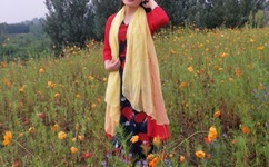 免费国产成人高清在线网站东京